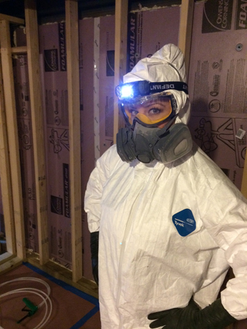 spray foam insulation picture from dax
